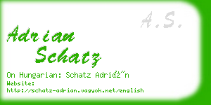 adrian schatz business card